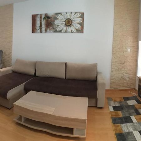 Monik Apartament Сіная Екстер'єр фото