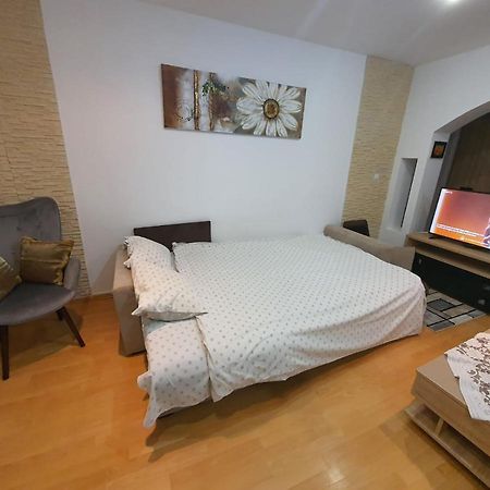 Monik Apartament Сіная Екстер'єр фото