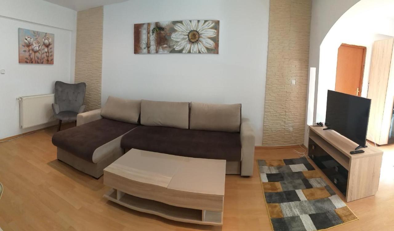 Monik Apartament Сіная Екстер'єр фото
