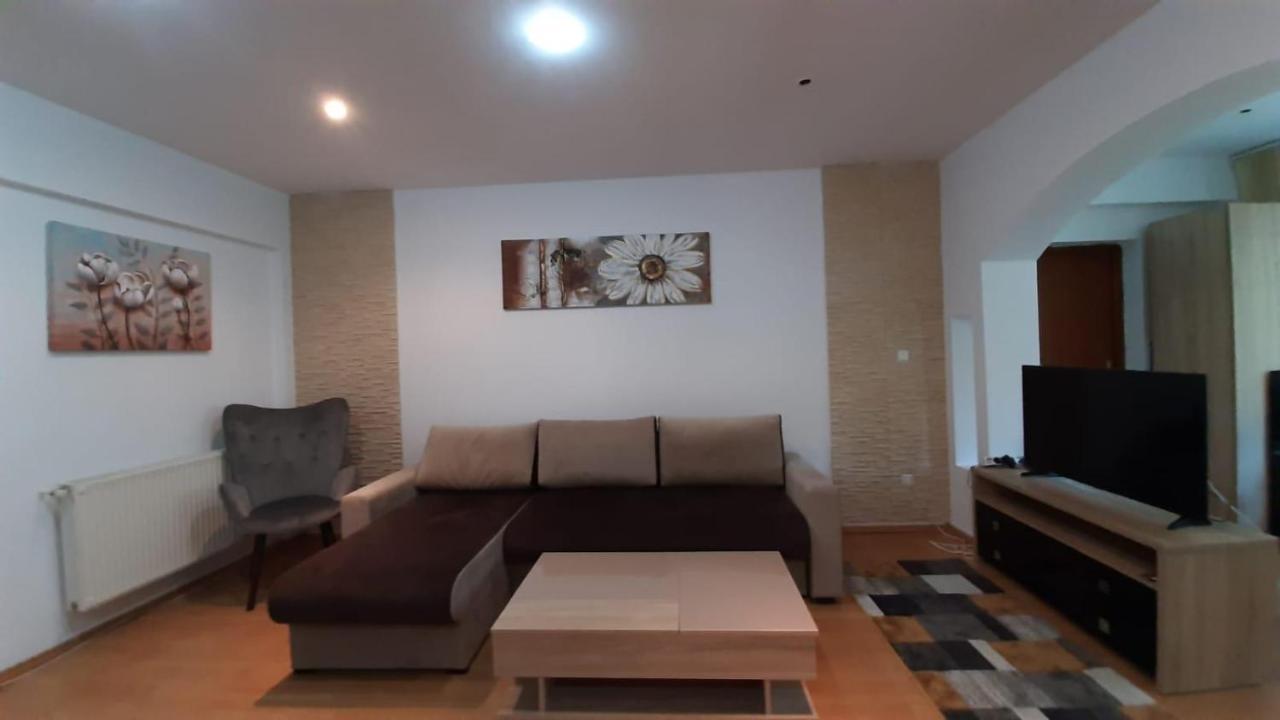 Monik Apartament Сіная Екстер'єр фото