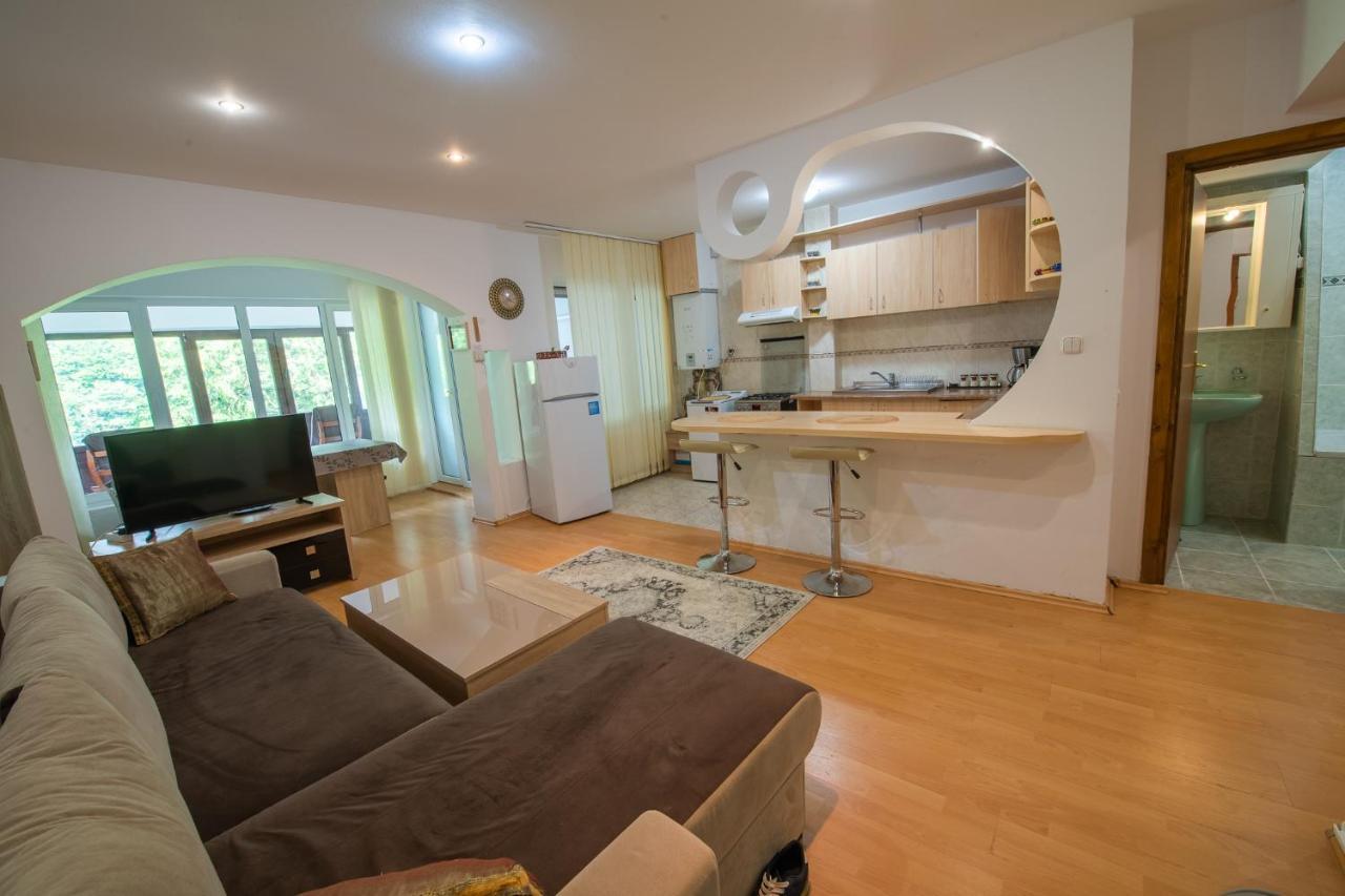 Monik Apartament Сіная Екстер'єр фото