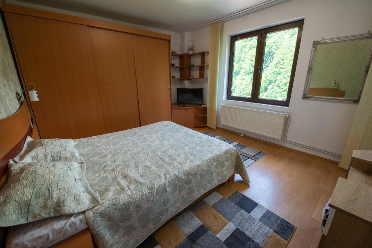 Monik Apartament Сіная Екстер'єр фото