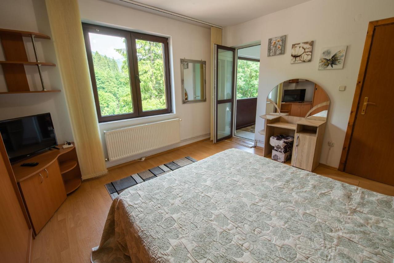 Monik Apartament Сіная Екстер'єр фото