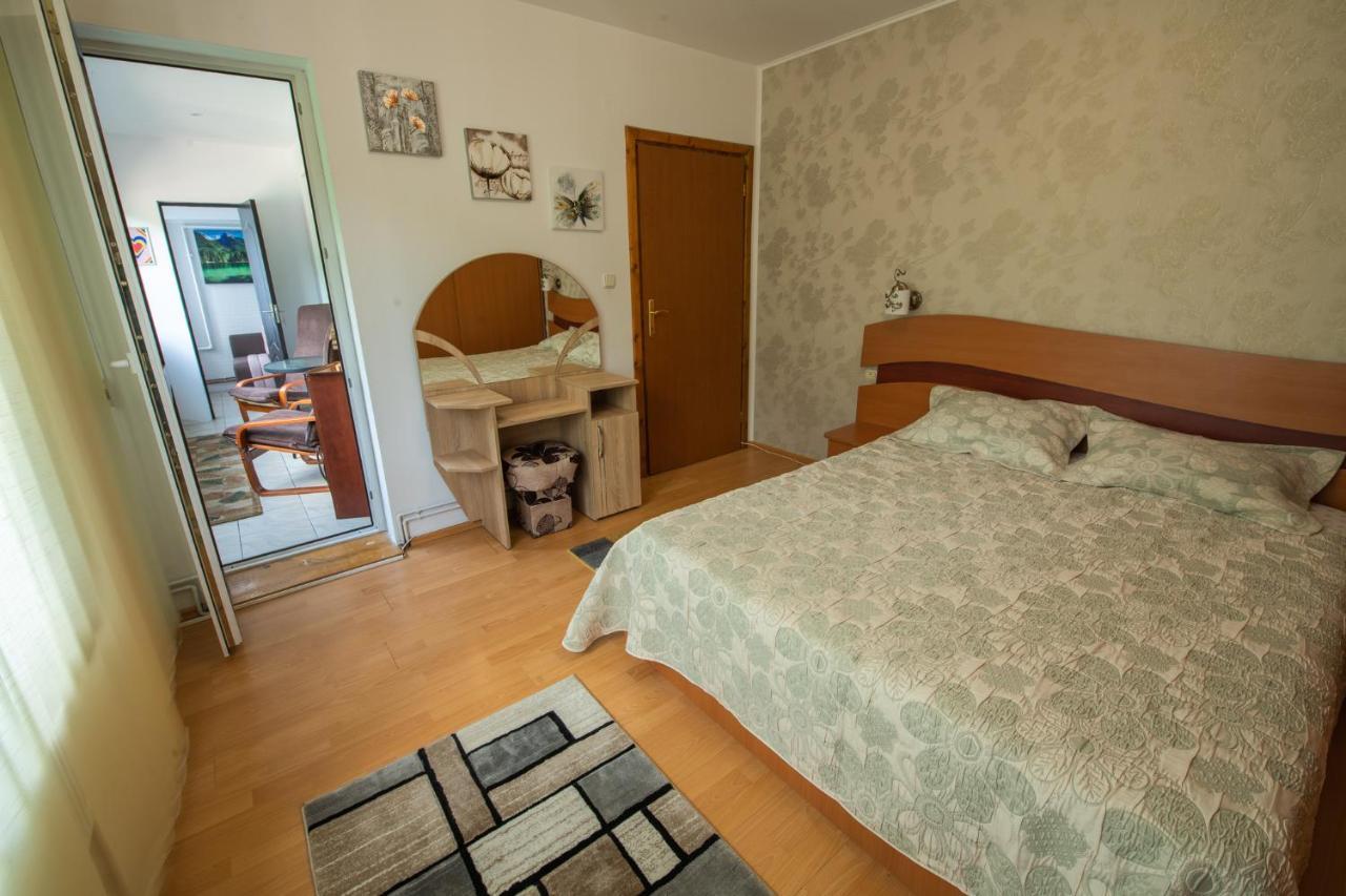 Monik Apartament Сіная Екстер'єр фото