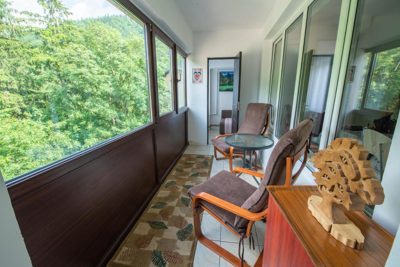 Monik Apartament Сіная Екстер'єр фото