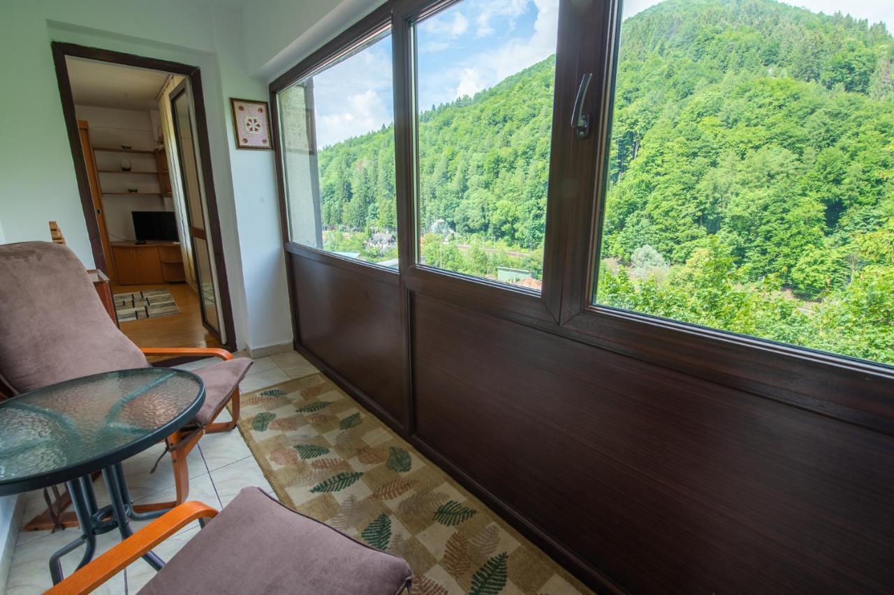Monik Apartament Сіная Екстер'єр фото