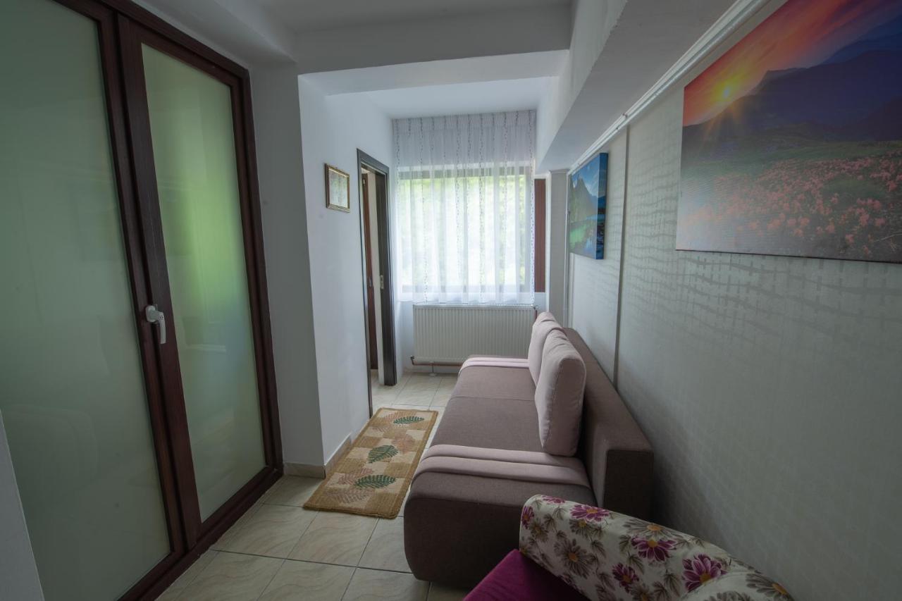 Monik Apartament Сіная Екстер'єр фото