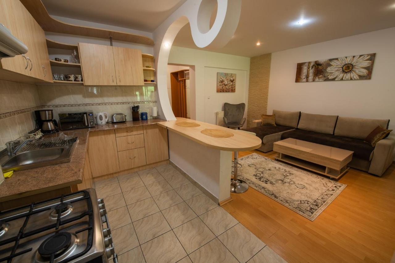 Monik Apartament Сіная Екстер'єр фото