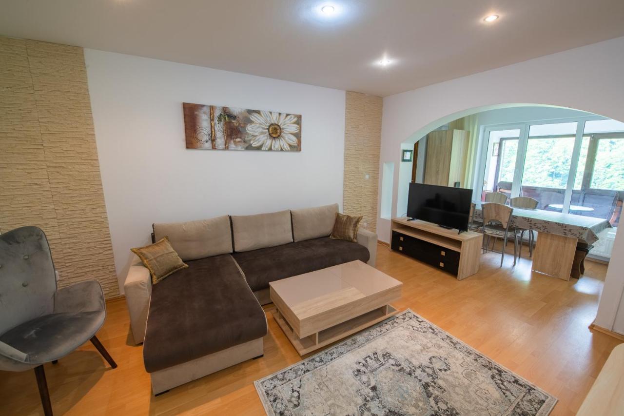 Monik Apartament Сіная Екстер'єр фото