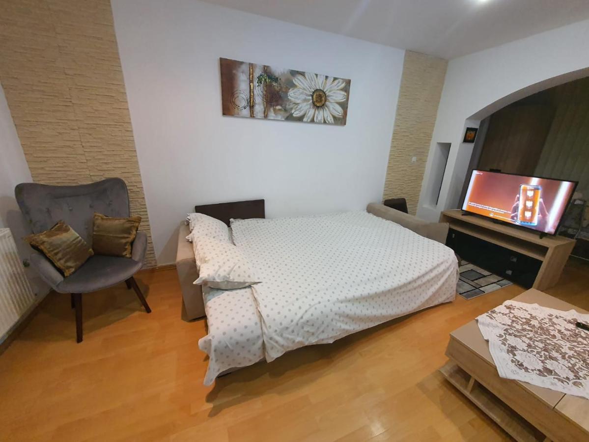 Monik Apartament Сіная Екстер'єр фото