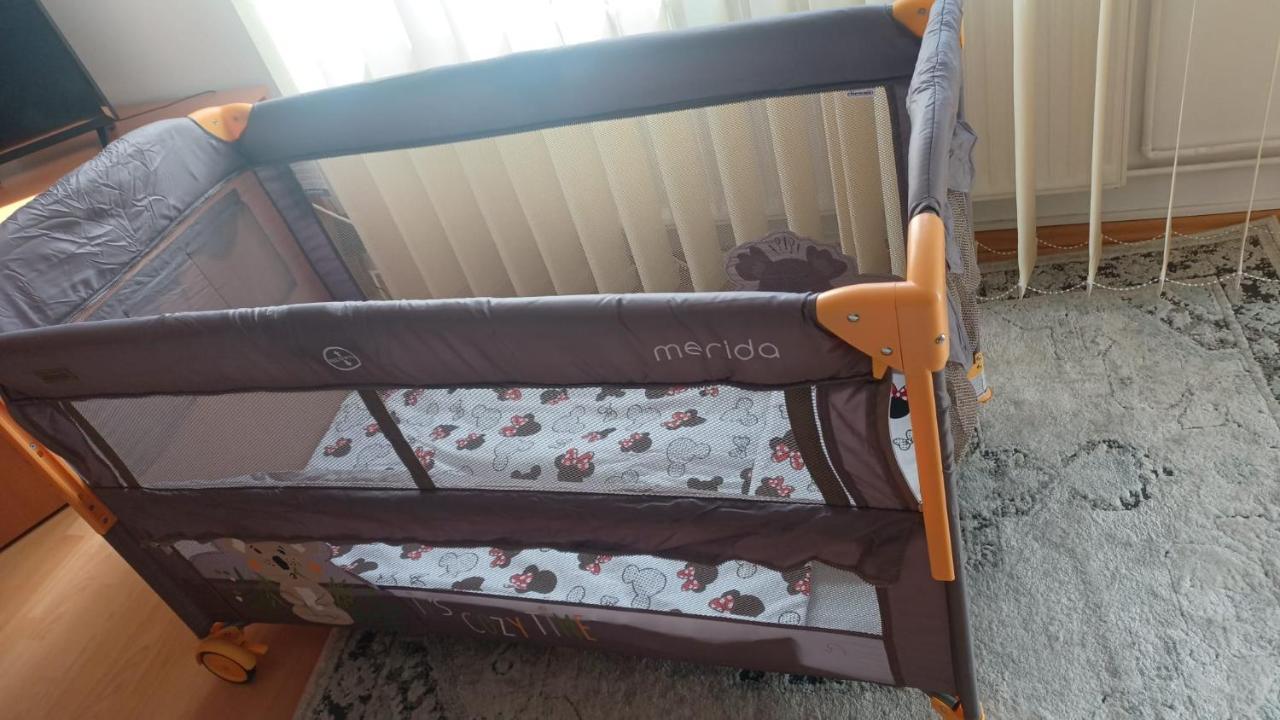 Monik Apartament Сіная Екстер'єр фото