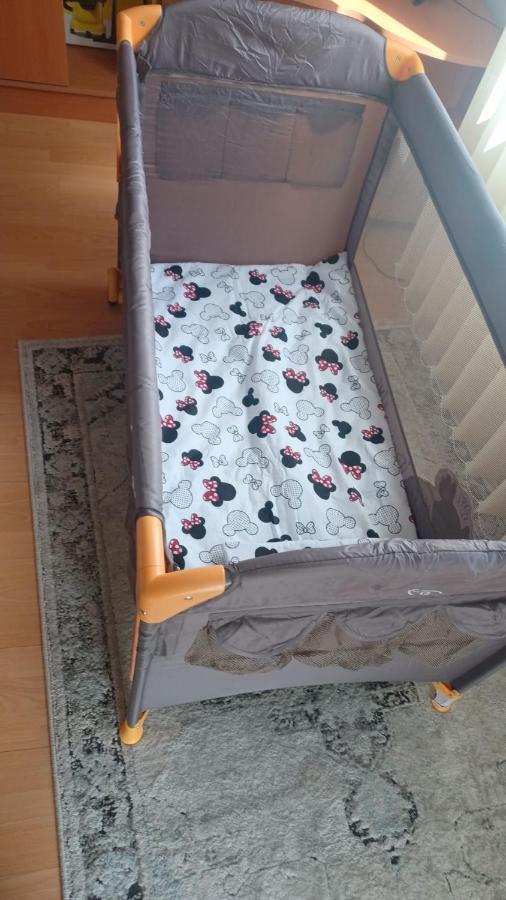 Monik Apartament Сіная Екстер'єр фото