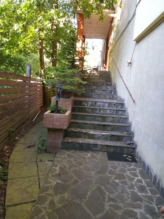 Monik Apartament Сіная Екстер'єр фото